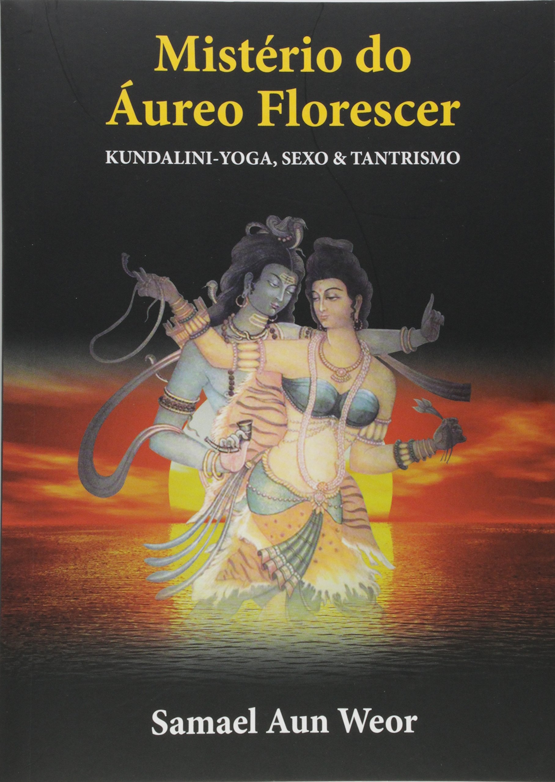 【ジオジオ様】エアロプレスゴー Tim Wemdelboe書籍セット MISTÉRIO DO ÁUREO FLORESCER: Kundalini-Yoga, Sexo & Tantrismo